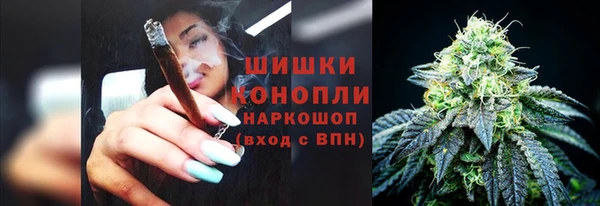 индика Верхний Тагил