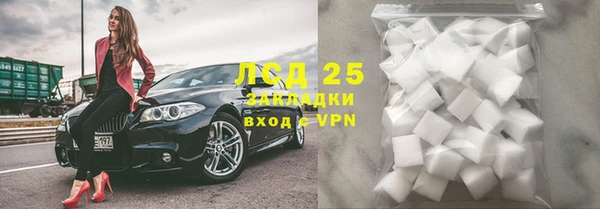 индика Верхний Тагил