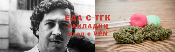 индика Верхний Тагил