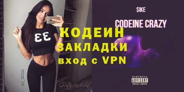 индика Верхний Тагил