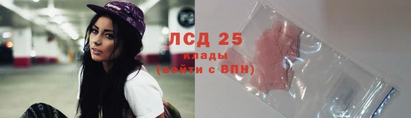 индика Верхний Тагил