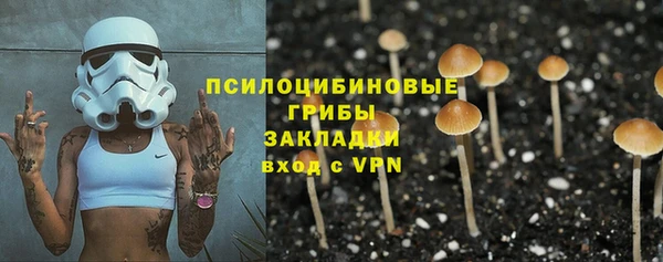 индика Верхний Тагил