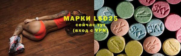 гашик Володарск